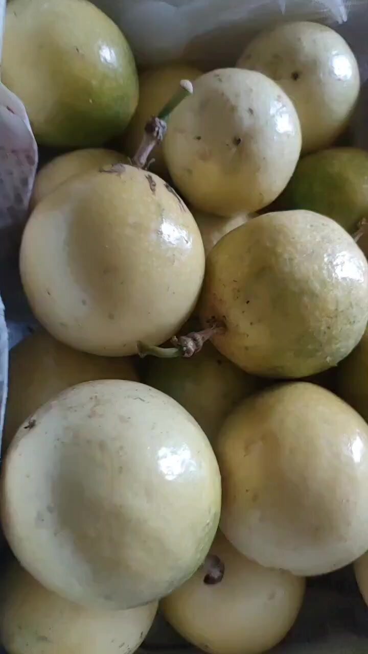 百香果的功效与作用