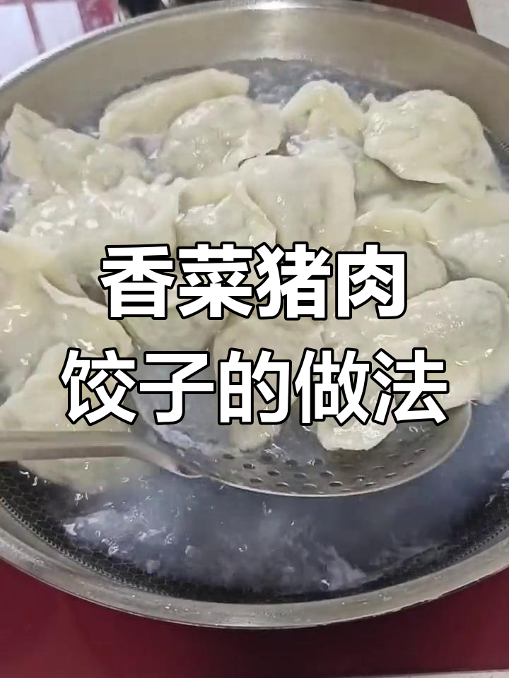 自制香菜猪肉饺子,步骤全解析!
