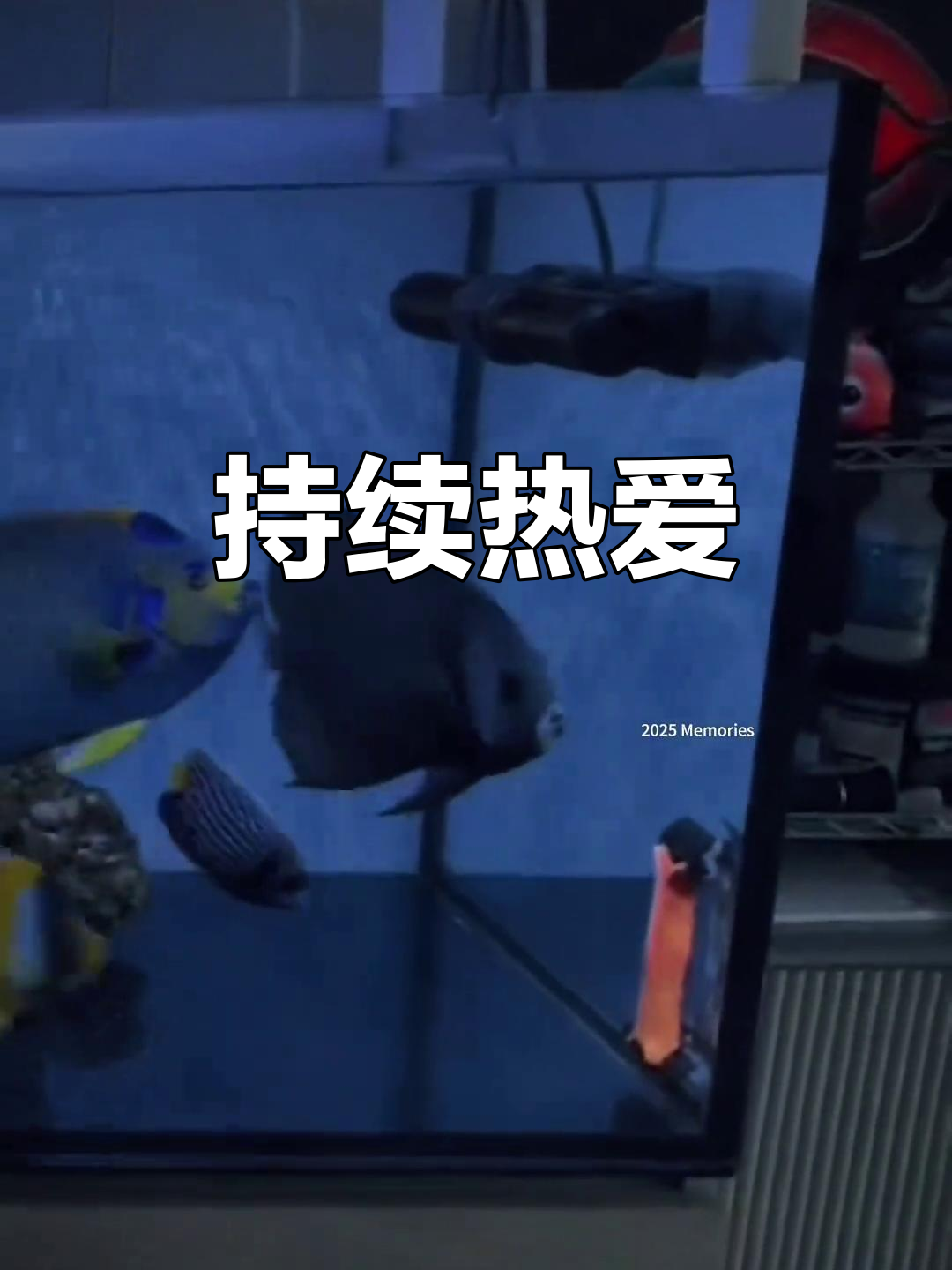 新年新尝试,群游与红海骑士仍在路上,期待更美的未来!