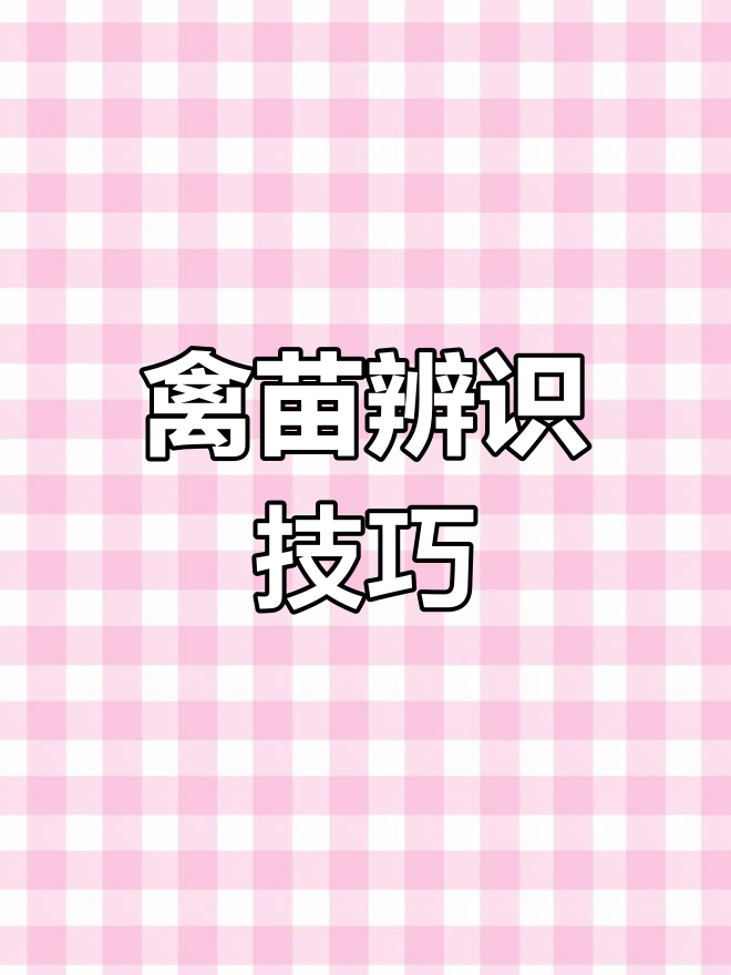 鹌鹑、野鸡与珍珠鸡,如何轻松辨别?