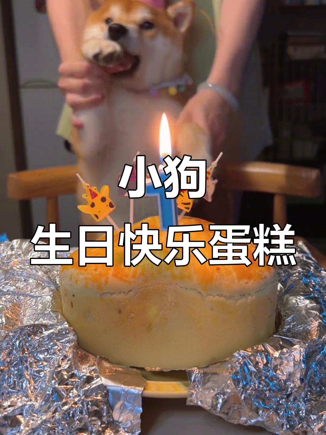 快乐修勾的生日蛋糕,插蜡烛许愿超萌!