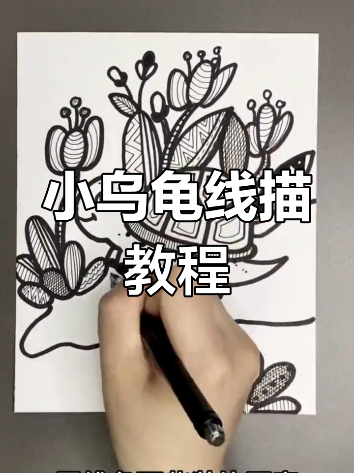 简单线描画小乌龟,轻松搞定可爱造型