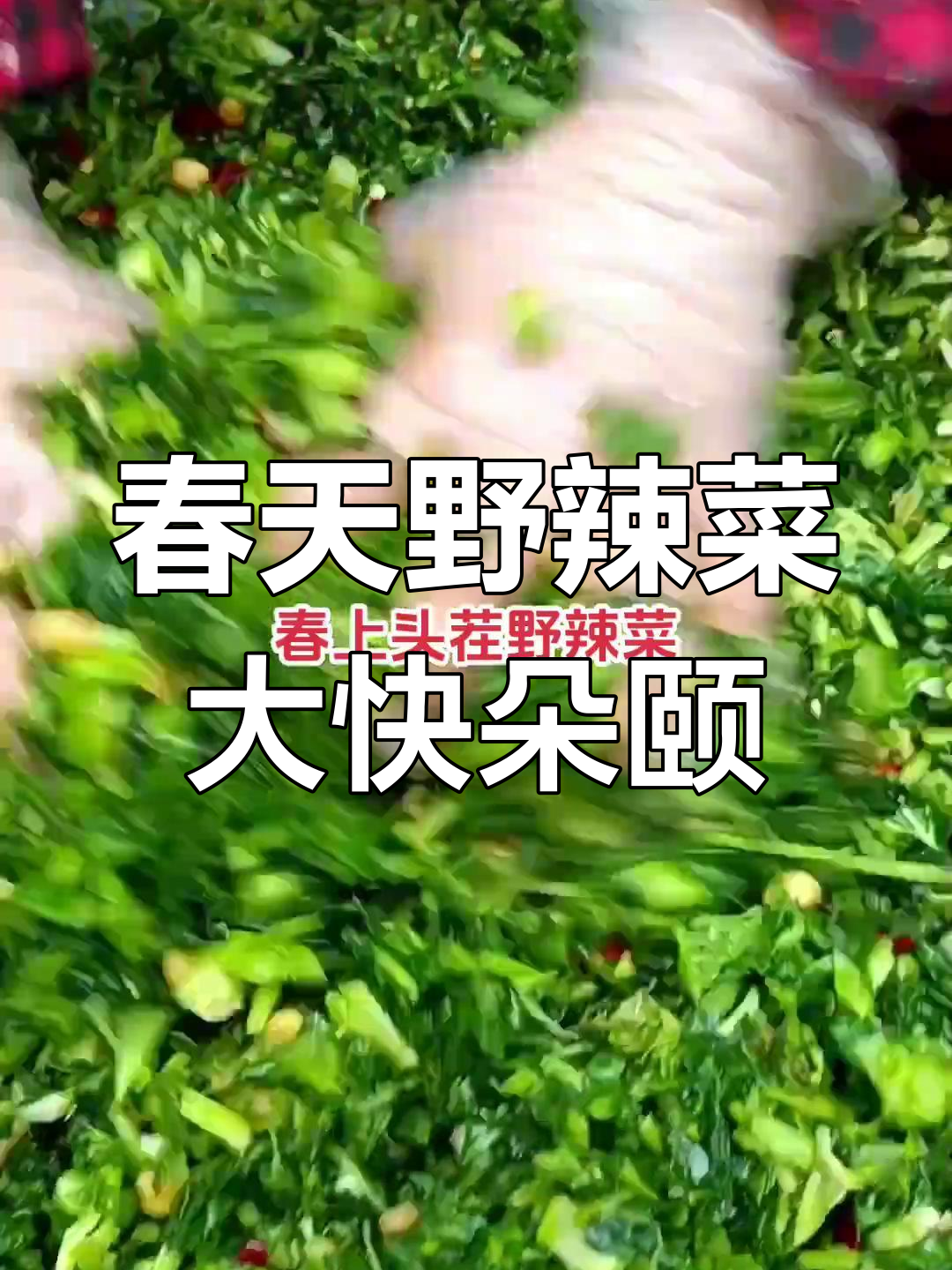 春天正是吃野辣菜的季节,教你腌出脆嫩又下饭的独特风味