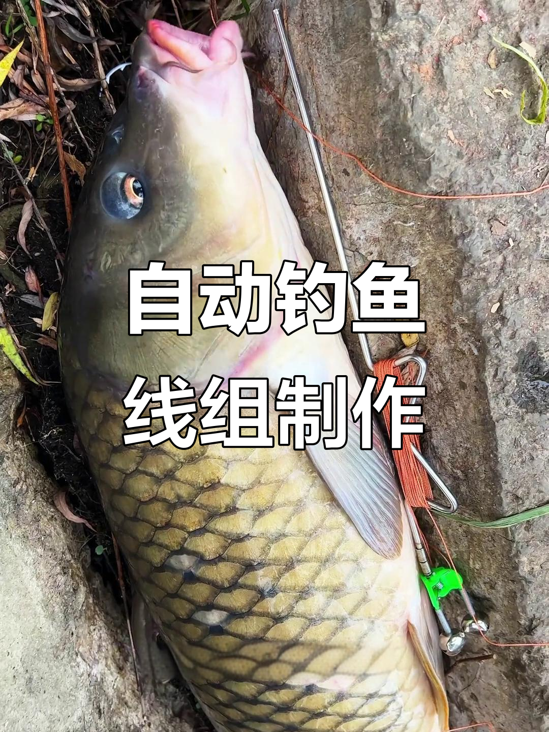 自制自动钓鱼神器,轻松钓大物!