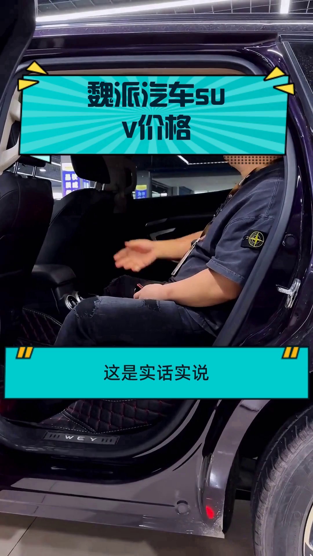 魏派汽车suv价格