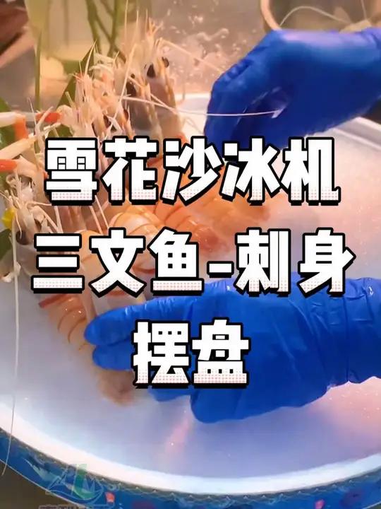 三文鱼刺身摆盘快来试试雪花沙冰机,细腻,松散,摆盘太好看了!雪花沙冰机 雪花制冰机商用 三