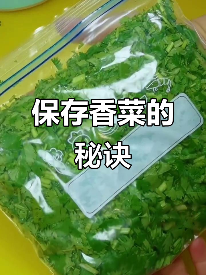 香菜冷冻技巧,冬天吃新鲜不冻伤