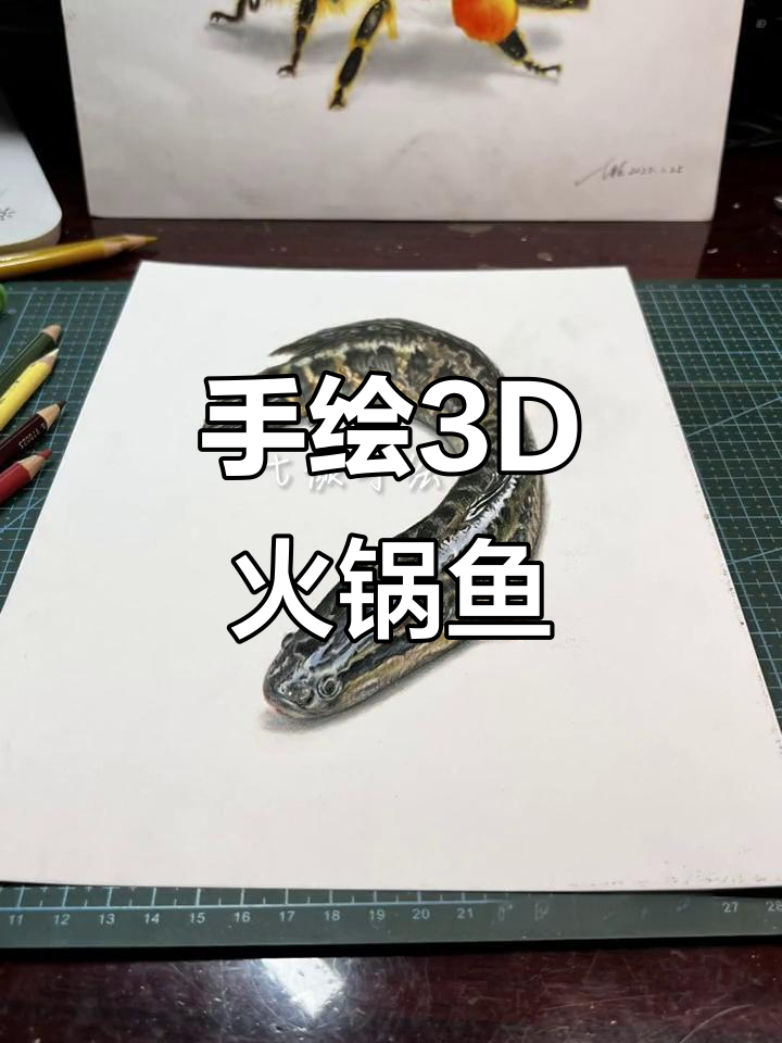 冷天必备!一起来画立体火锅鱼,彩铅手绘超有趣