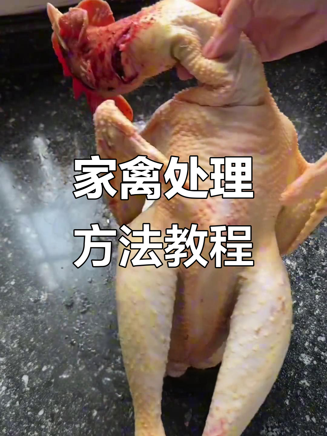 如何轻松处理家养鸡鸭,步骤全解析