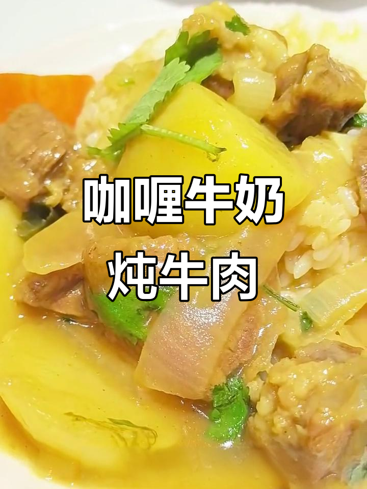 孩子最爱的咖喱牛腩饭,简单又美味
