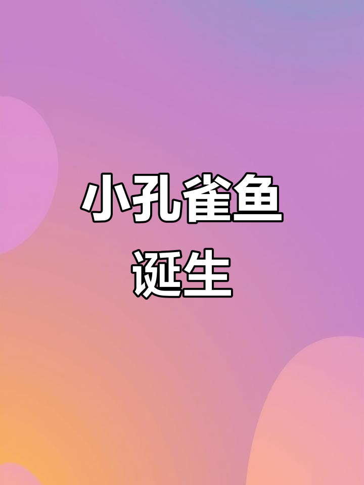 孔雀鱼宝宝出生,萌态十足!