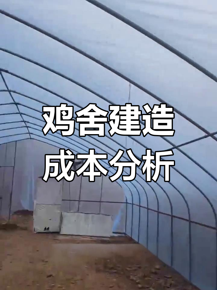 建鸡舍成本大揭秘,这些费用你算过吗?
