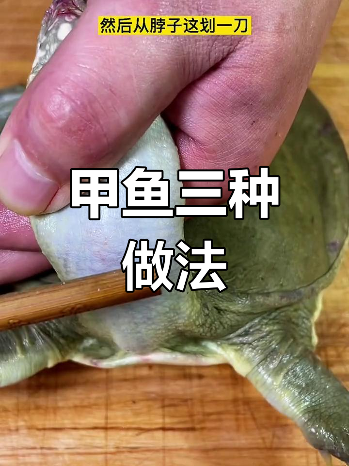 在家做甲鱼三吃,简单又美味!