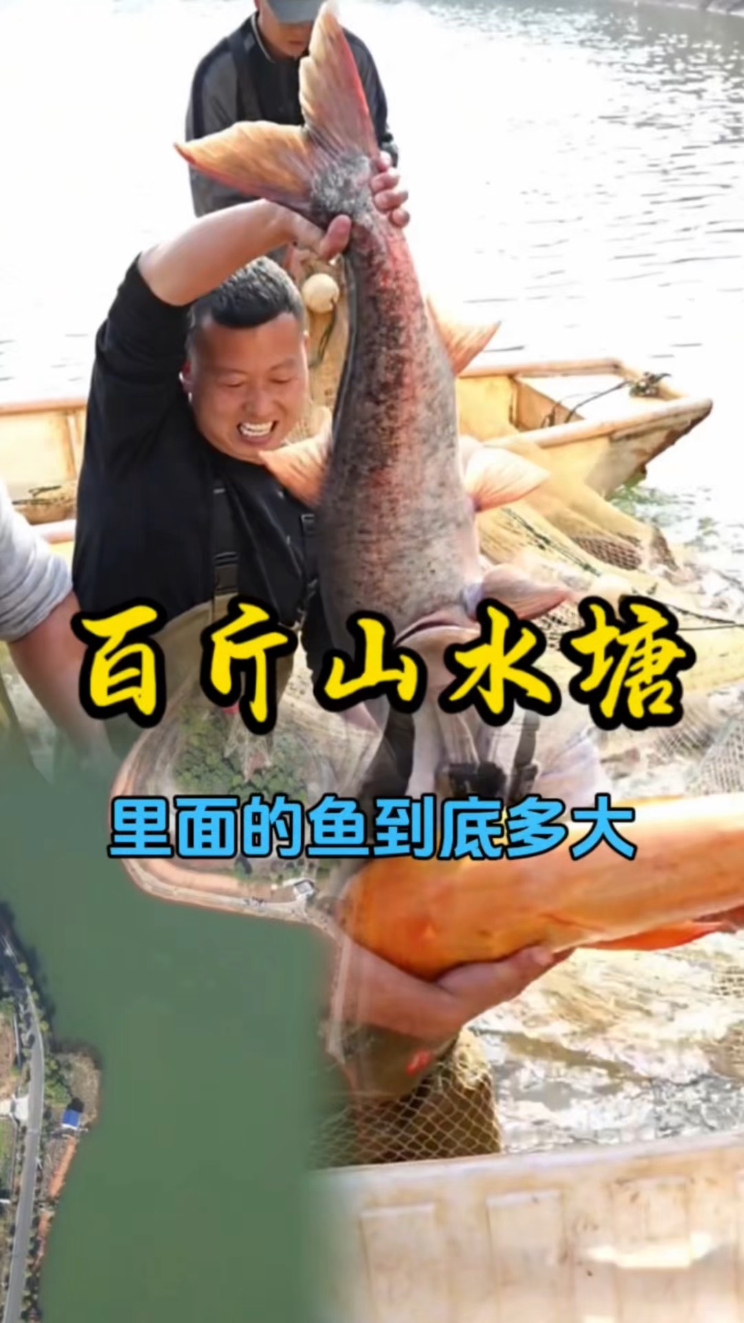 花10万块钱包下一口有上百斤的大青鱼鱼塘,看看有多大