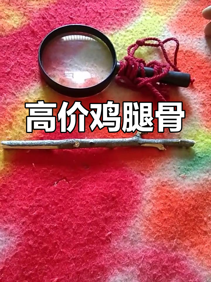 精选鸡腿骨,刮皮后盘玩形成包浆,价值不菲