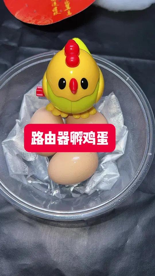 路由器孵化小鸡 路由器孵化鸡蛋教程分享,一起期待小鸡鸡的出生 