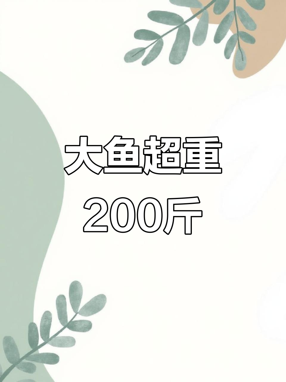 蓝鳍金枪鱼体重大揭秘,200斤以上的巨型刺身来袭!