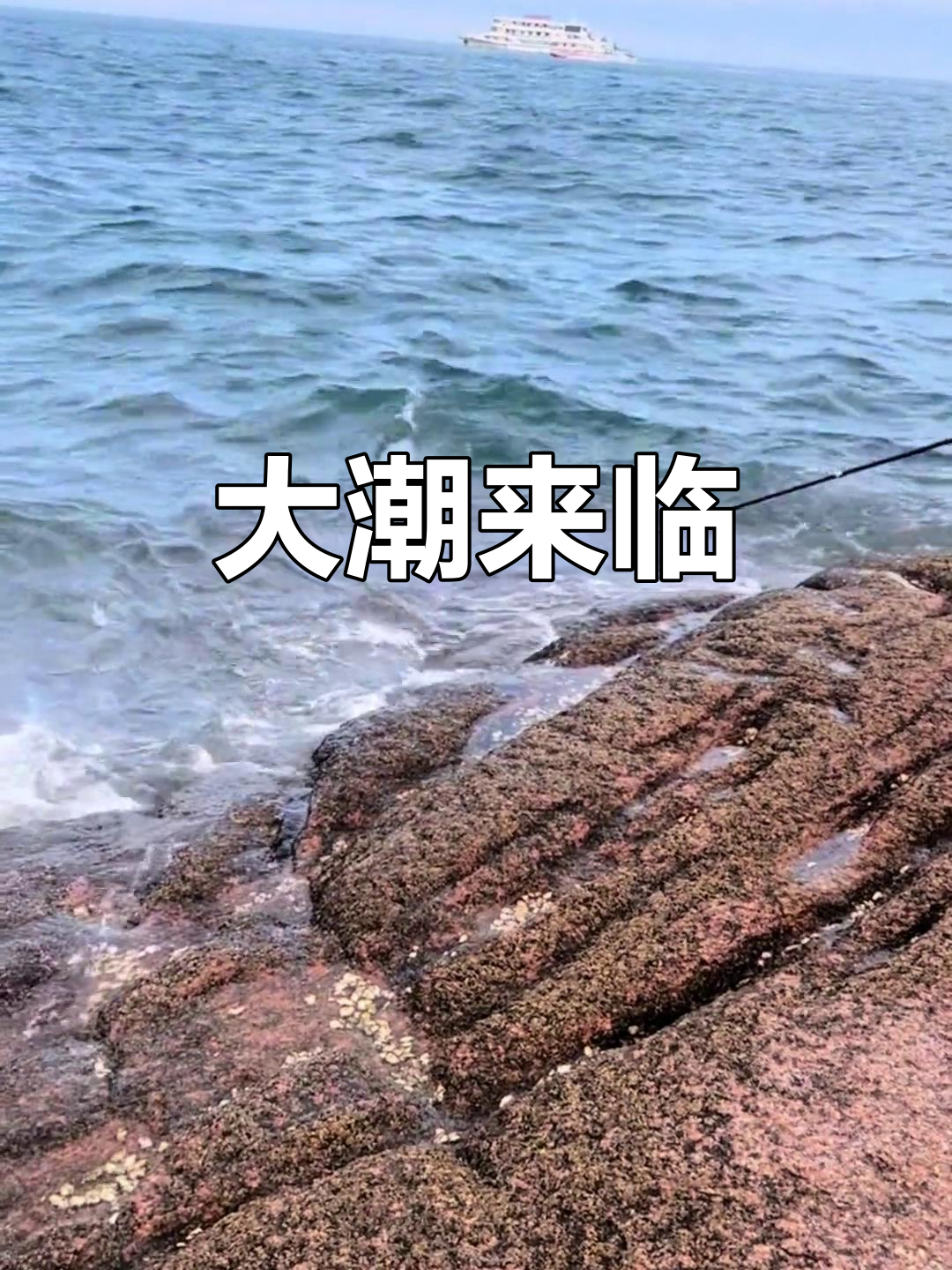 鲅鱼圈潮汐来袭,赶紧约上朋友一起赶海吧!