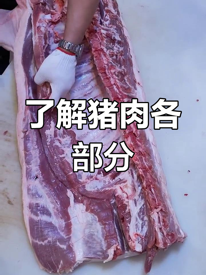 猪肉部位名称解析