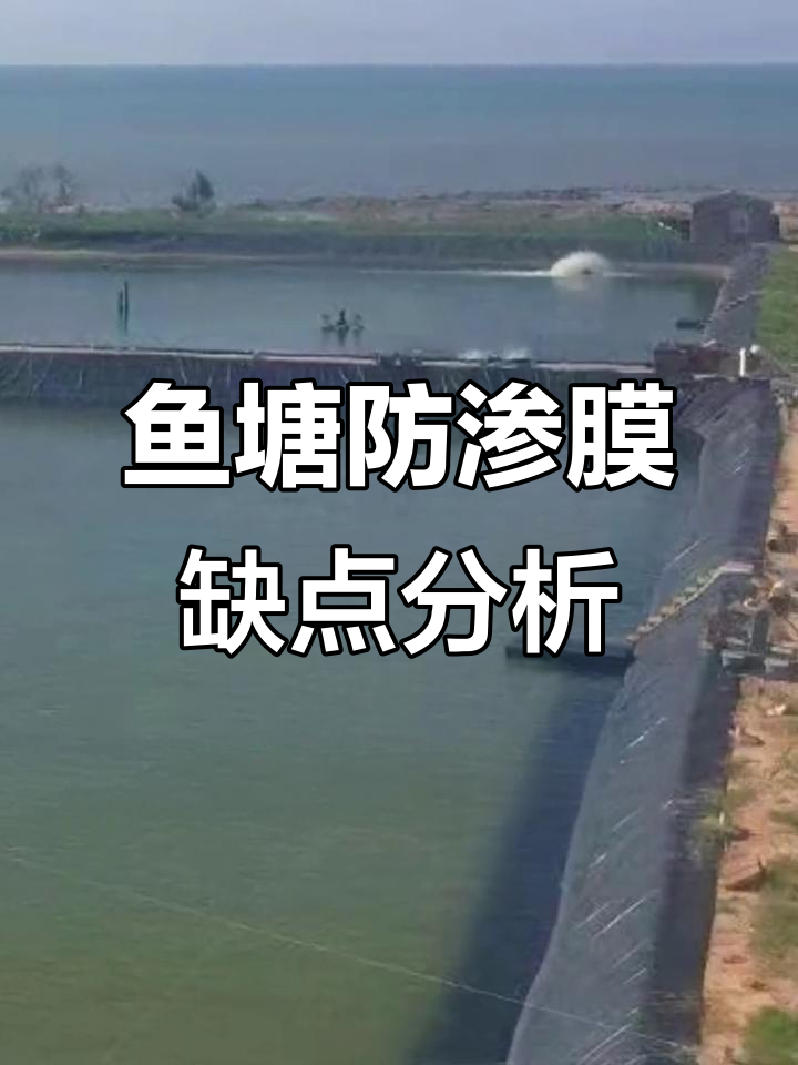 鱼塘防渗膜铺设的隐患与挑战