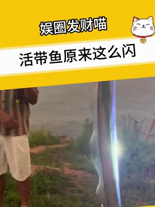 第一次看到活的带鱼,原来这么闪