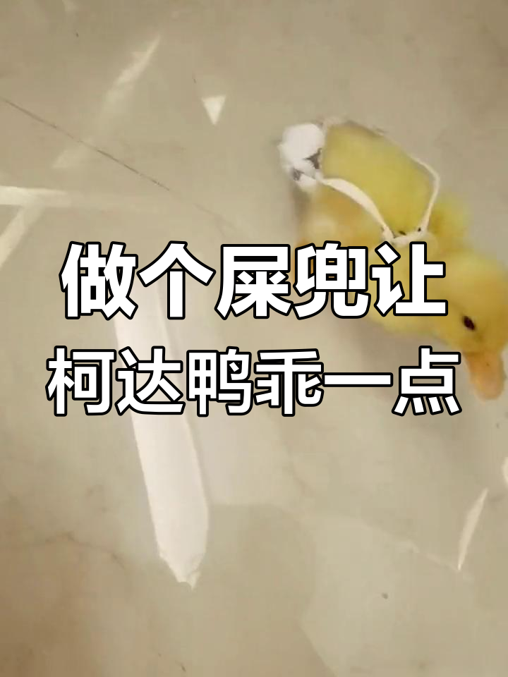 柯达鸭太调皮,到处拉屎,做个死兜希望它能收敛点