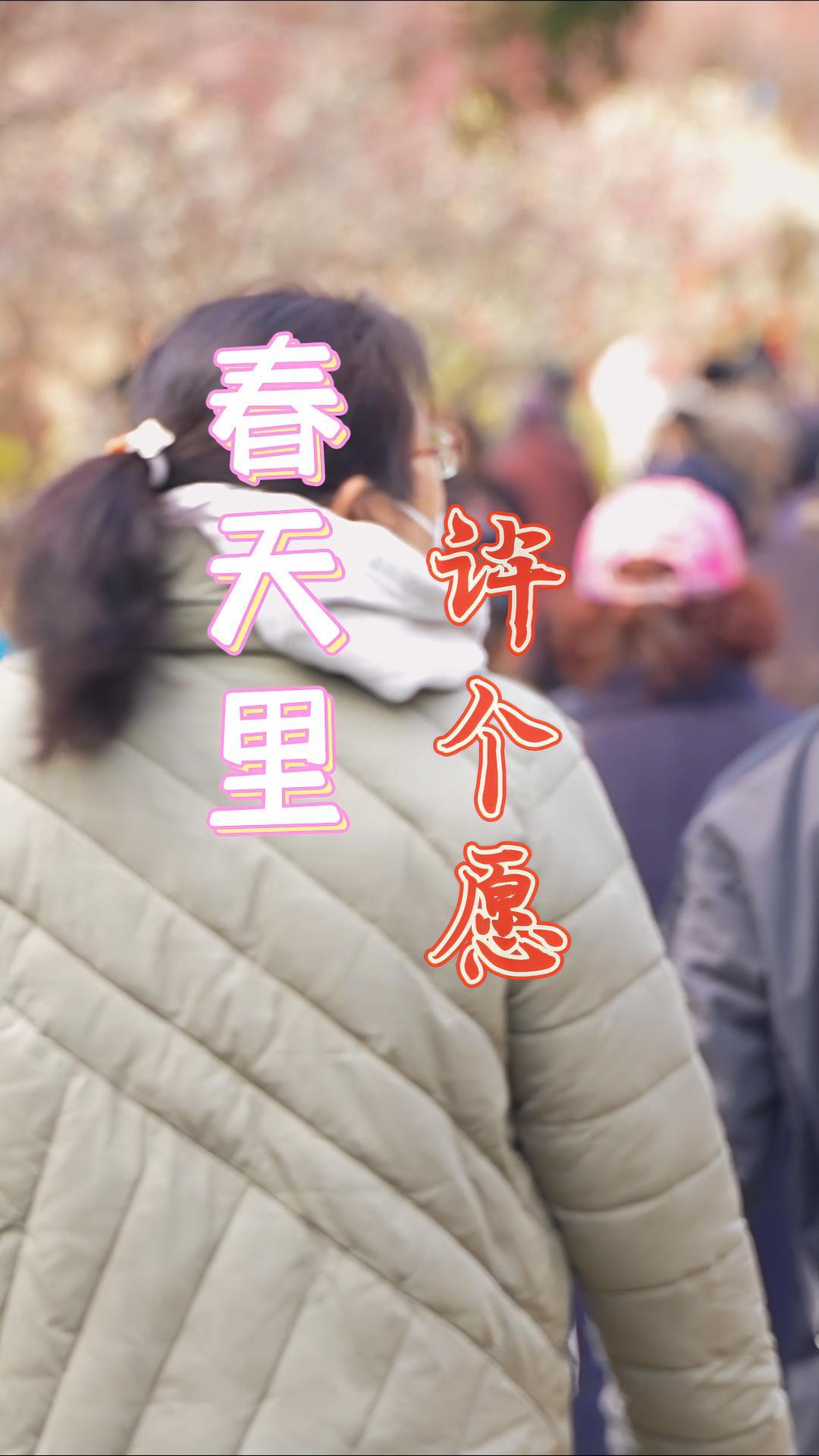 春天里,许个愿 无锡梅园梅花已入盛花期 无锡梅园梅花 今天游人如织。又到梅花绽放时 春暖花