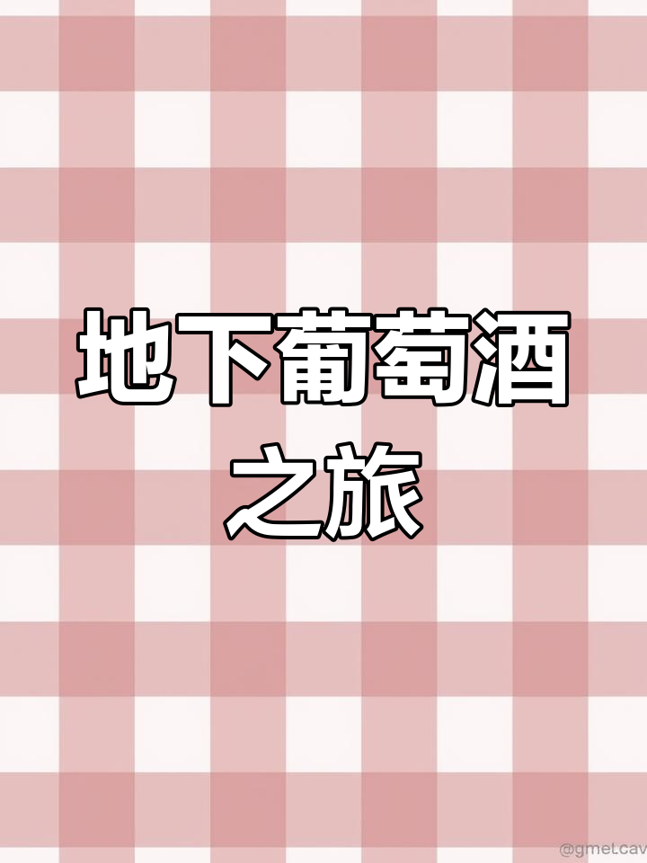 青岛葡萄酒博物馆,探索地下酒文化的独特魅力