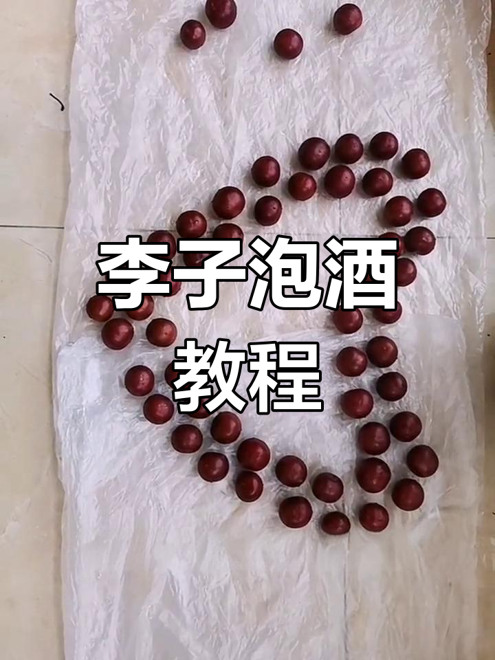 自制李子酒,酸甜可口
