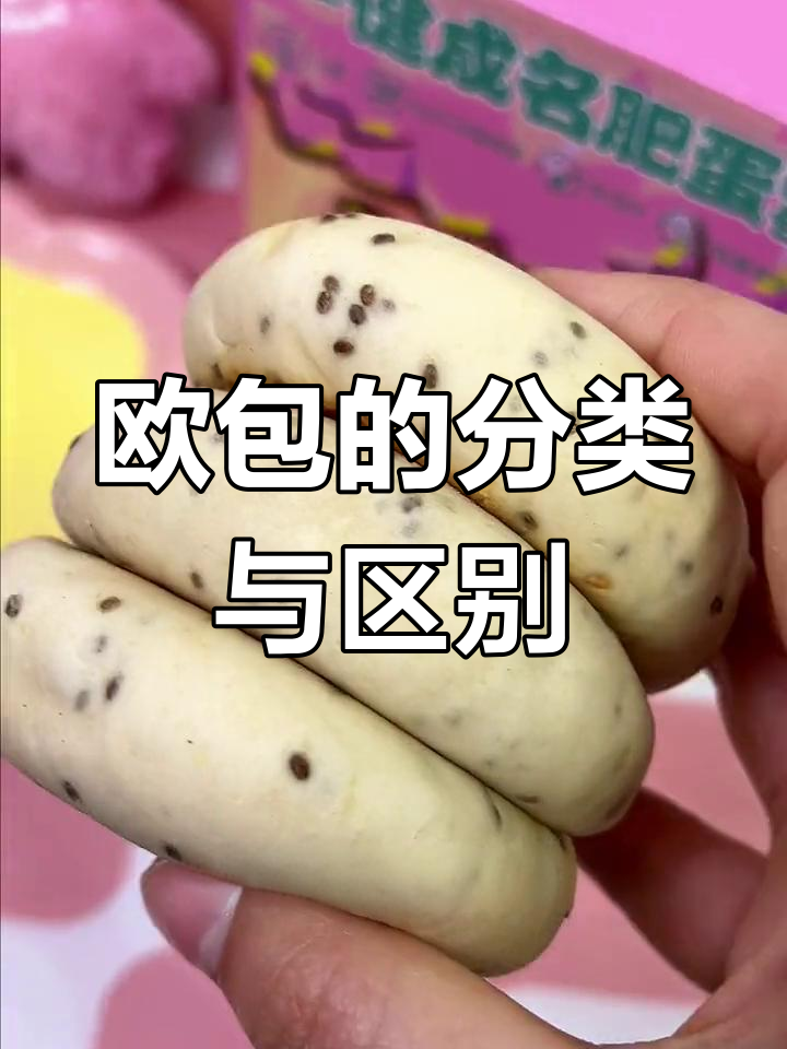 欧包种类大揭秘,软硬差异你知道吗?