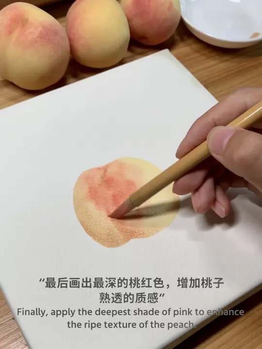 跟着教程，看水彩画水蜜桃的全过程及讲解