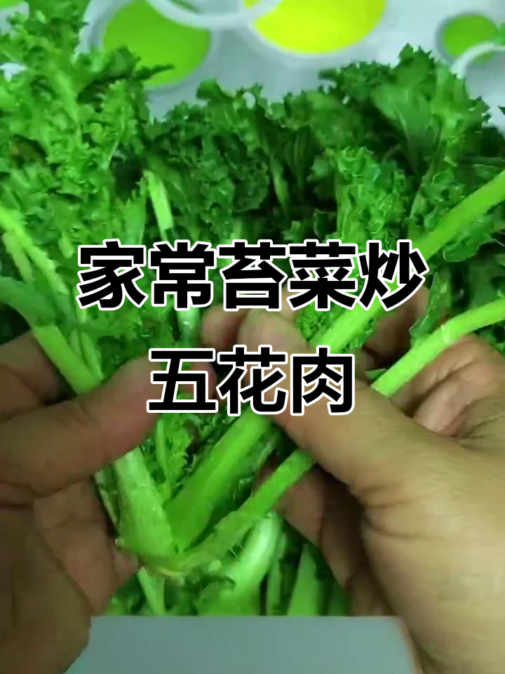 苔菜新做法,家常小炒更美味