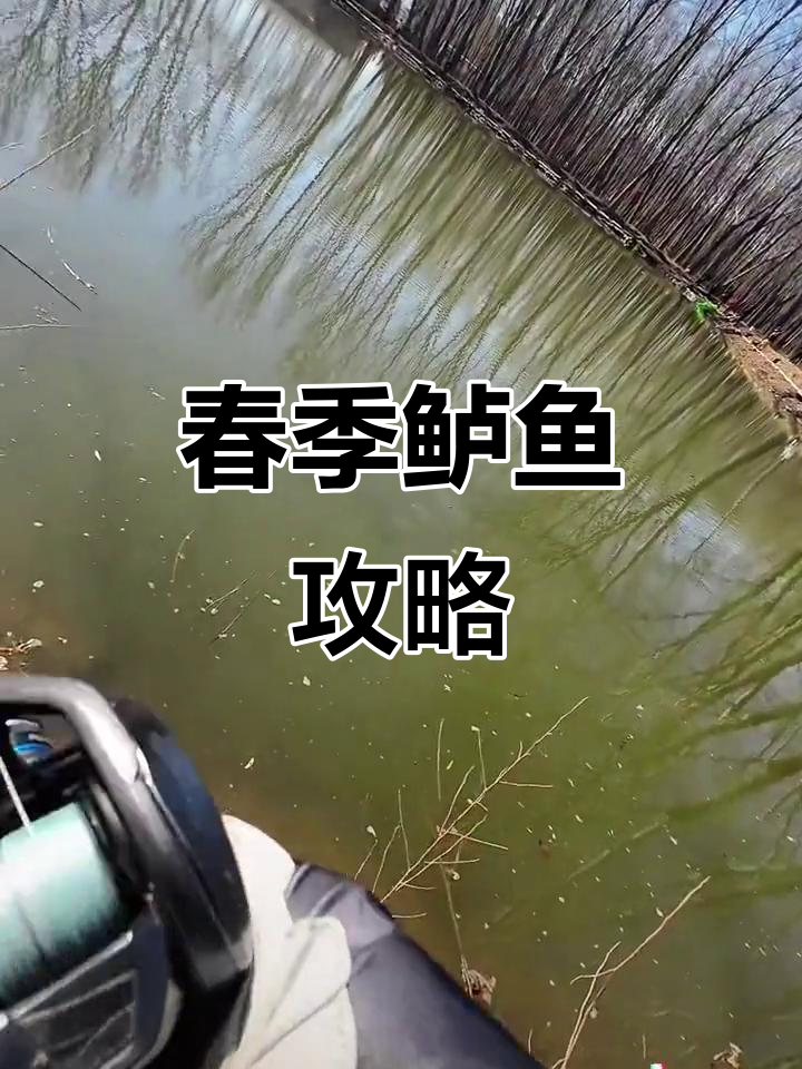 春季鲈鱼路亚技巧,不同阶段各有妙招