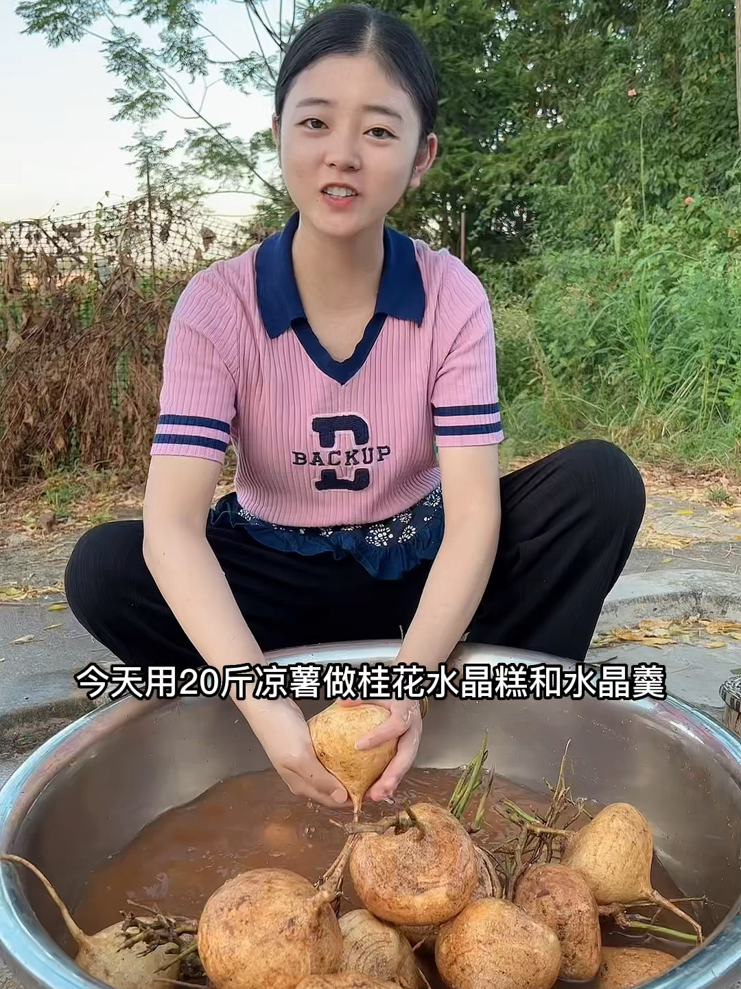 今天用20斤凉薯做桂花水晶糕和水晶羹,Q弹劲道,真好吃