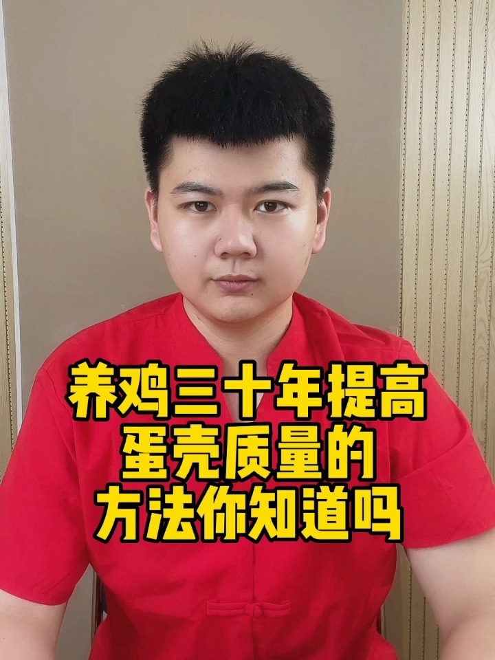 鸡下软壳蛋解决方法鸡每天生软壳蛋该怎么办