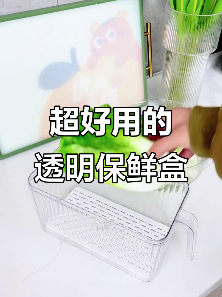 这款保鲜盒让冰箱整洁无忧,蔬菜水果新鲜如初