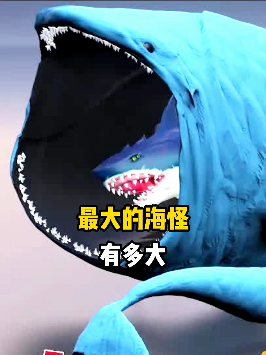 你知道最大的海怪有多大吗