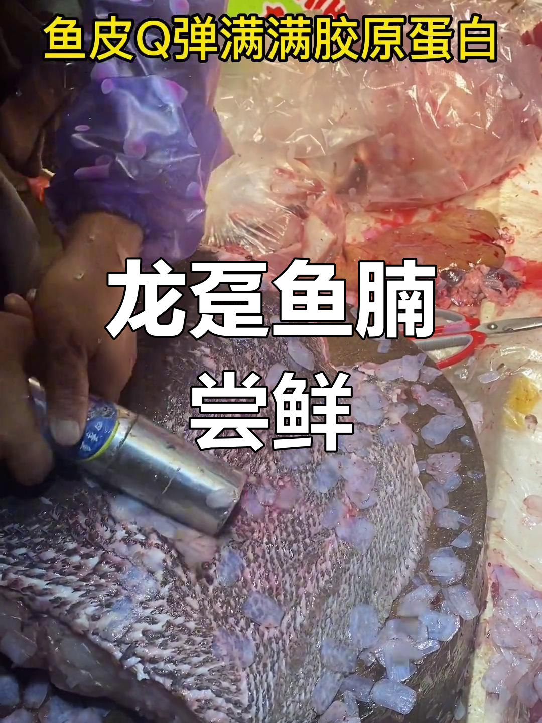 新鲜海鲜大快朵颐,龙趸鱼腩不容错过