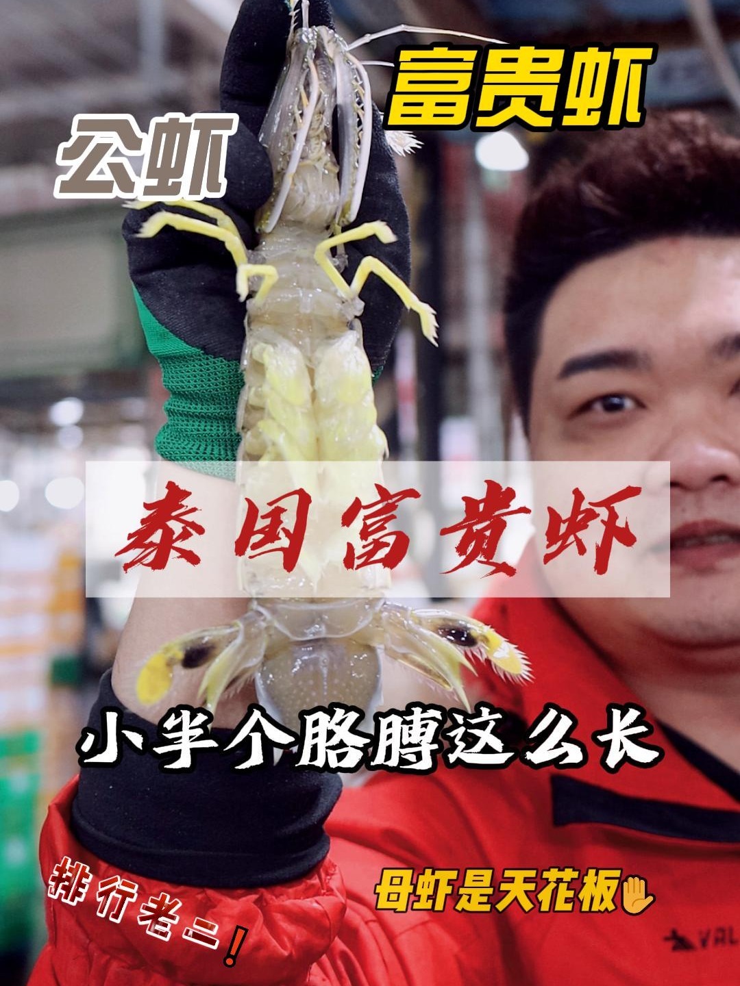 泰国富贵虾 大个皮皮虾