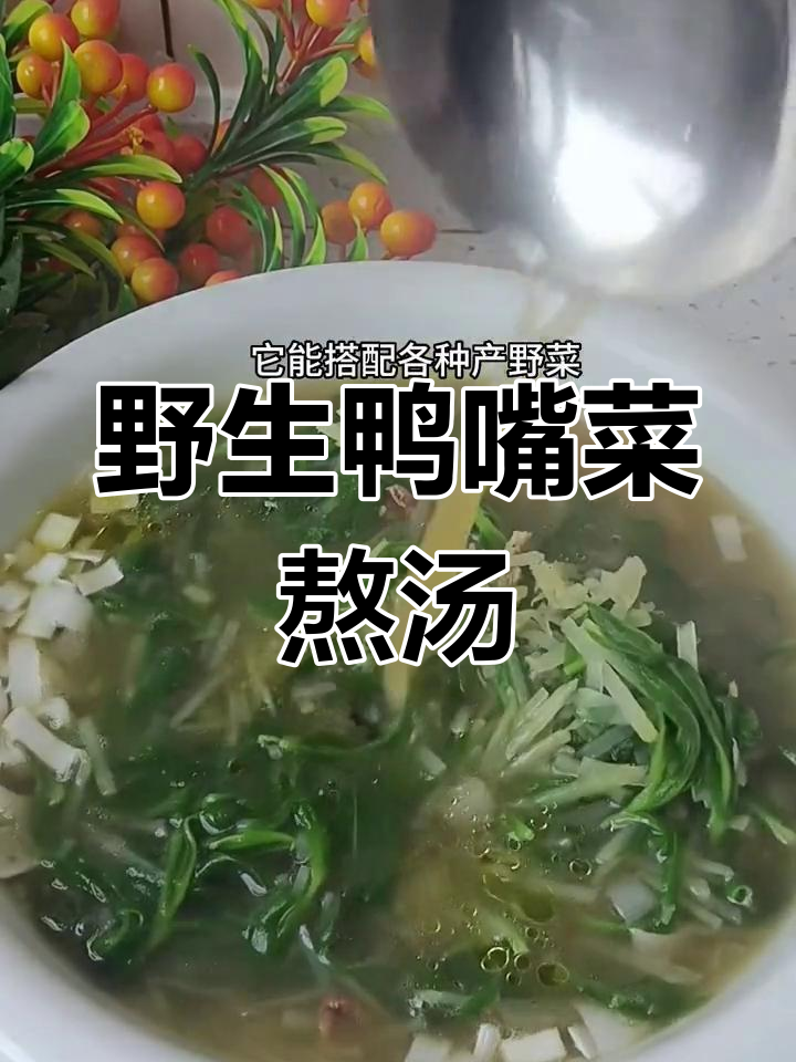 鸭子嘴野菜汤的做法