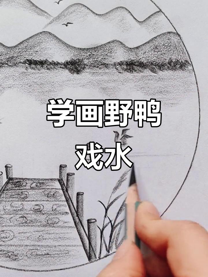 带你一起看野鸭戏水,轻松学画炭笔画