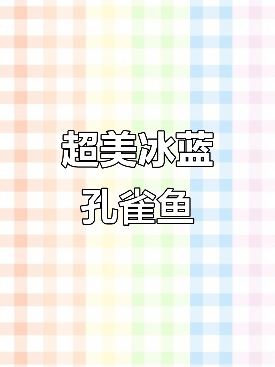 冰蓝孔雀鱼:美丽如宝石,超易养,胎生小鱼成活率极高