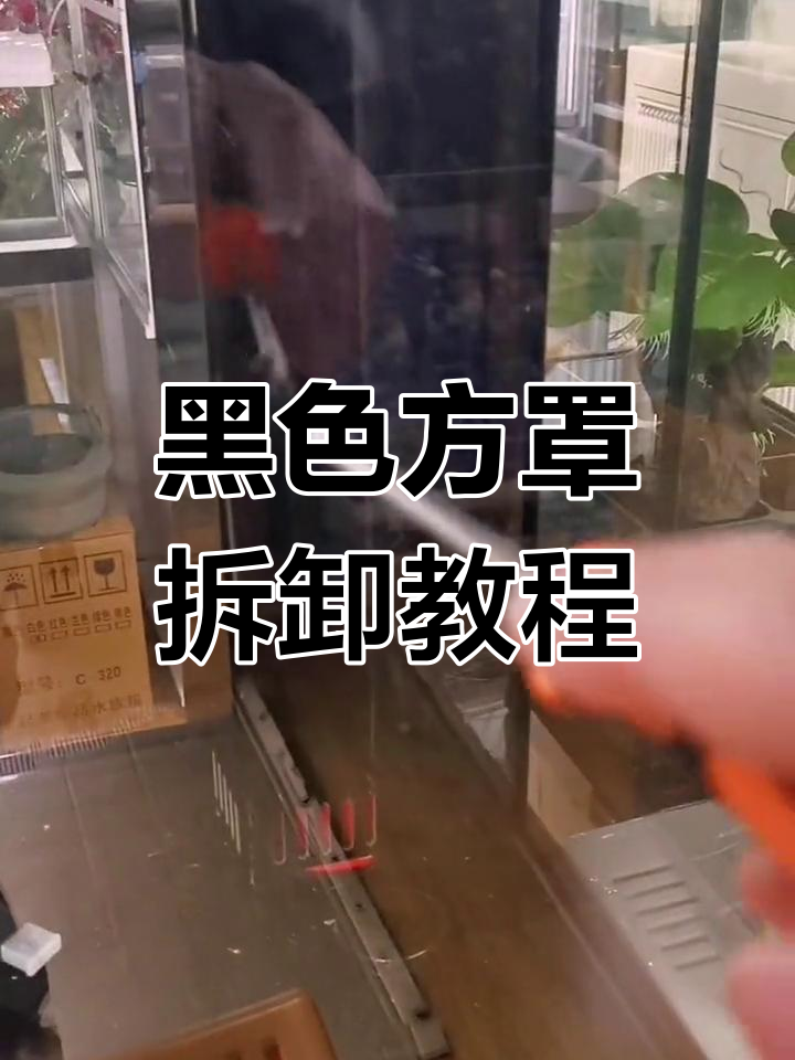 拆解黑色方罩,轻松搞定鱼缸维护