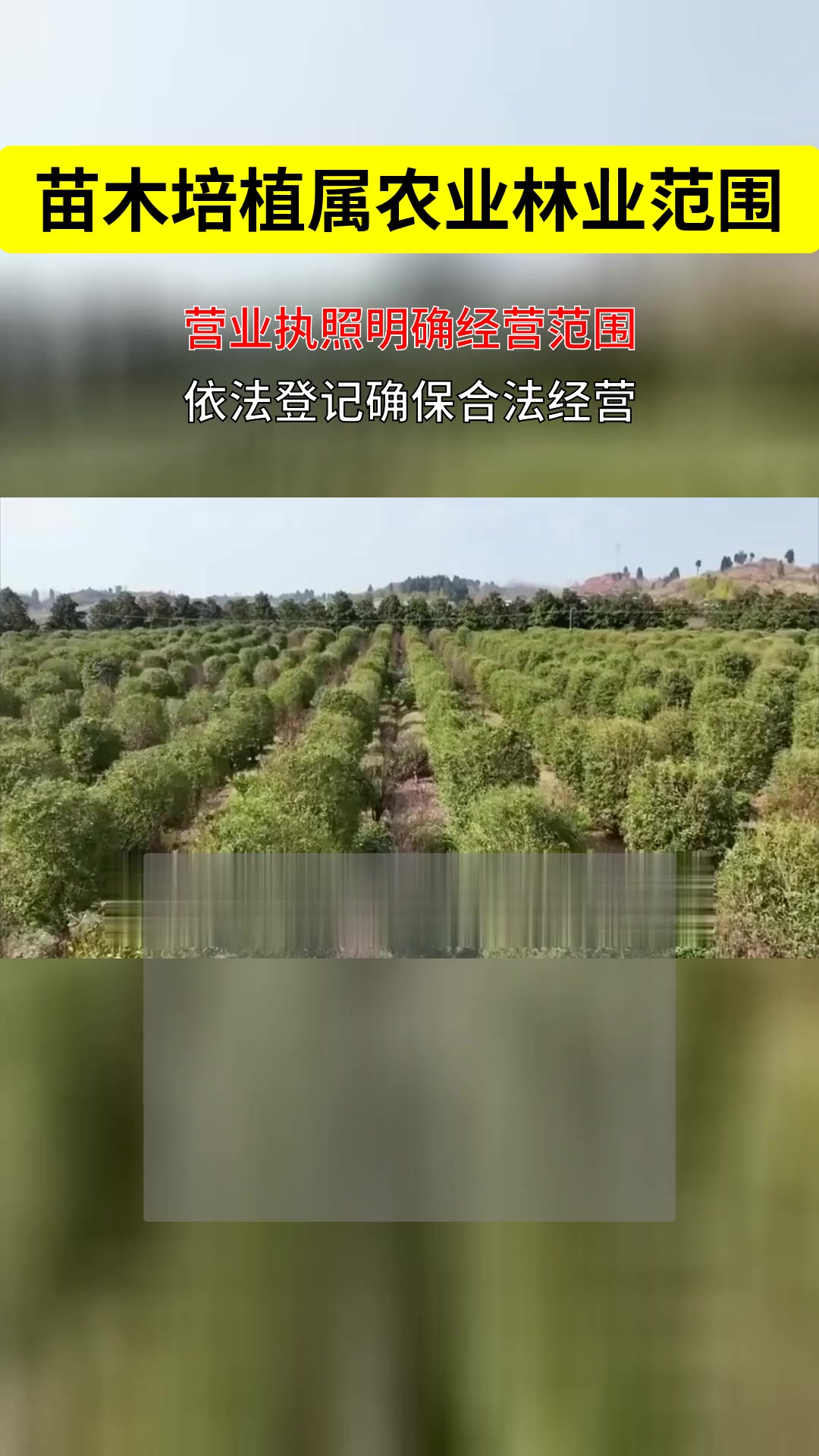 苗木培植属哪类经营范围?