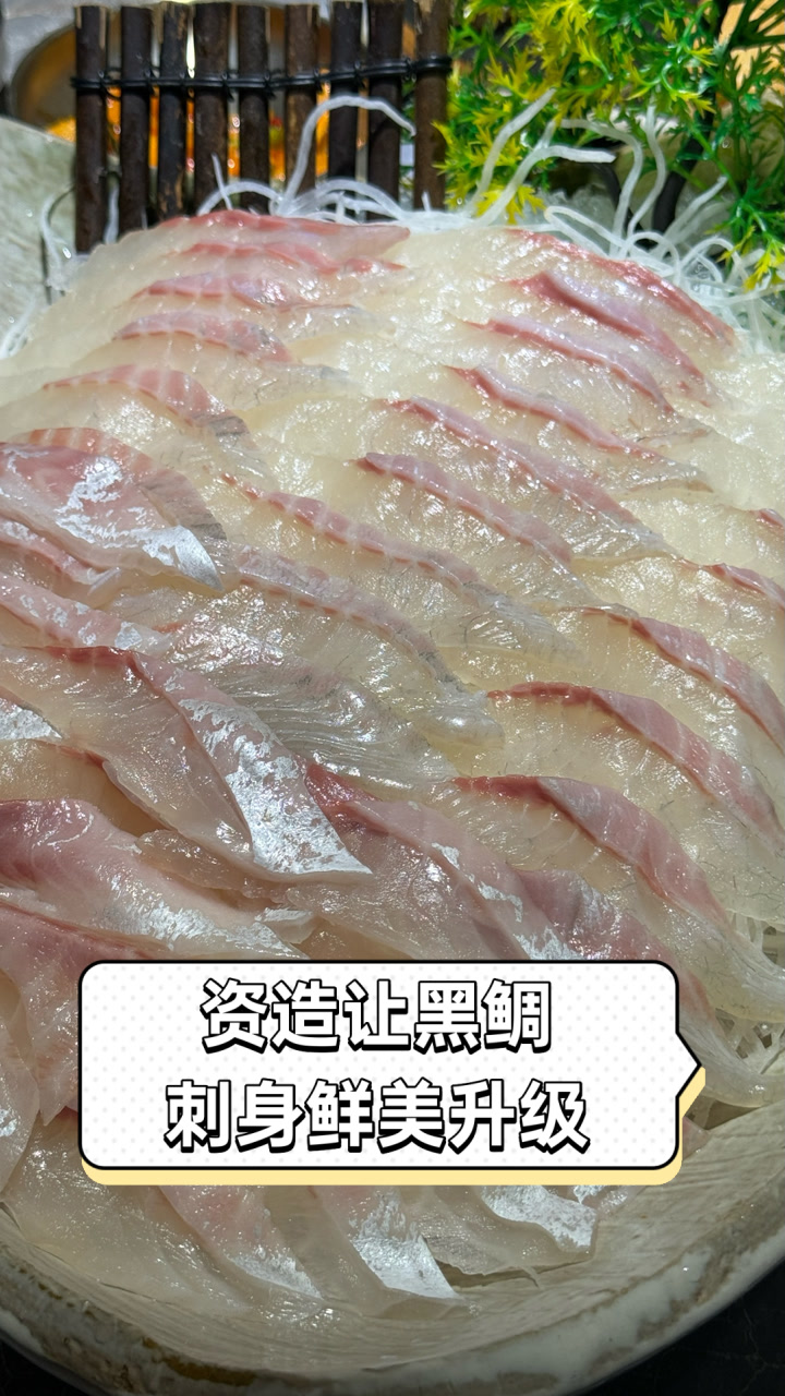 资造让黑鲷刺身鲜美升级