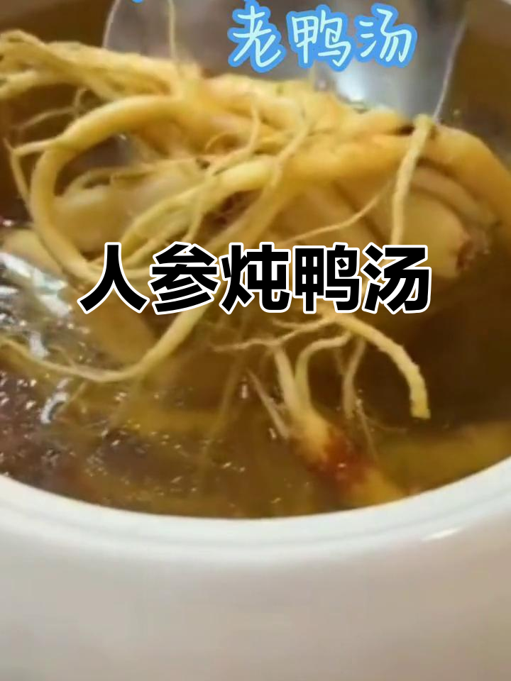 秋冬季滋补汤，鲜人参炖青头鸭，改善胃口又暖心