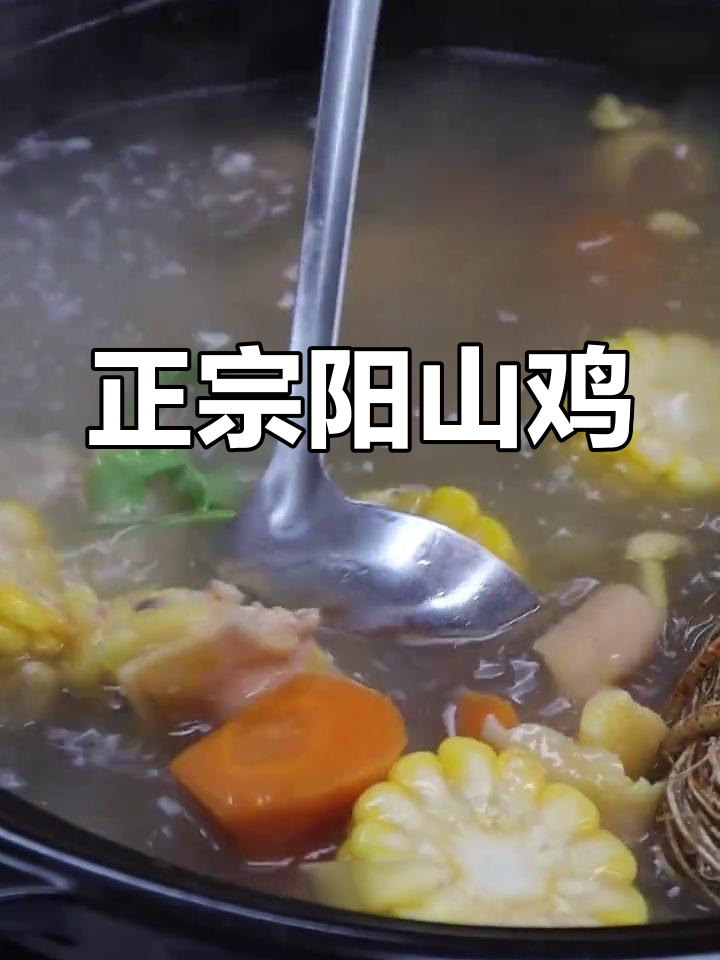 顺德乐从的阳山鸡,鲜美无比!