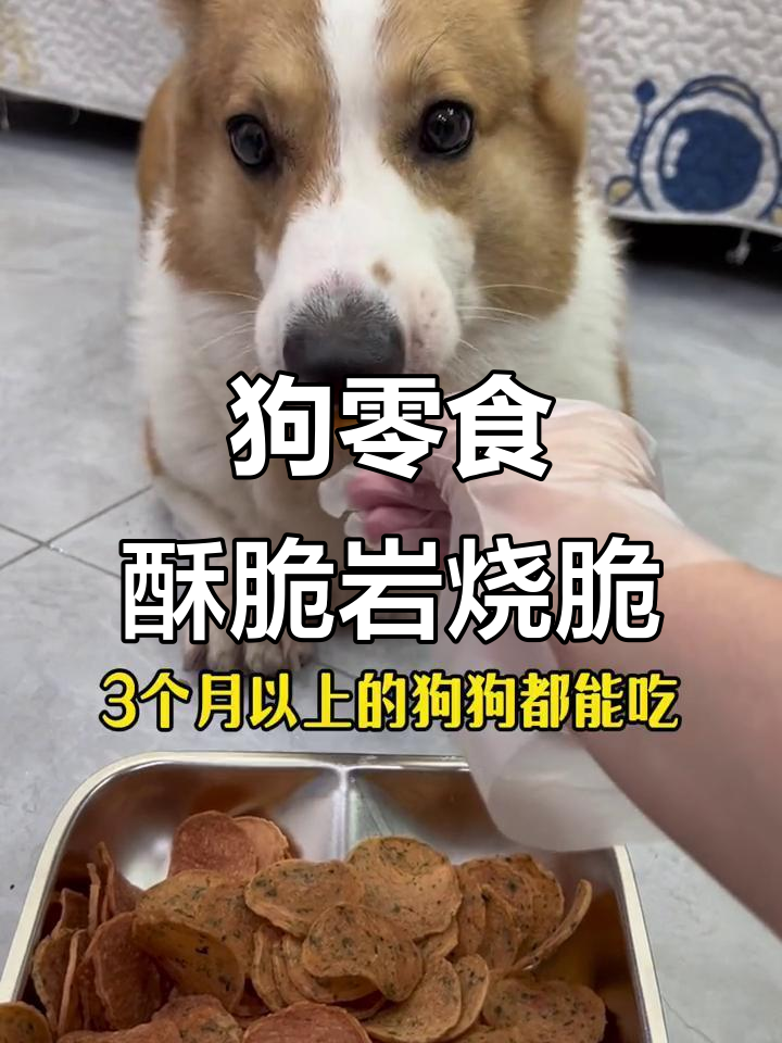 酥脆狗狗岩烧薯片，海苔柠虾味，营养又美味