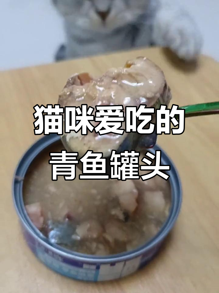 猫咪最爱鲭鱼罐头,营养满满又美味