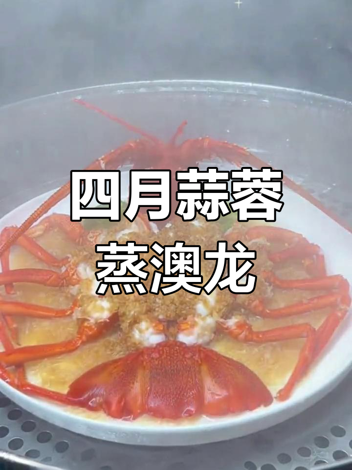 简单蒸澳龙,四月奋斗正当时